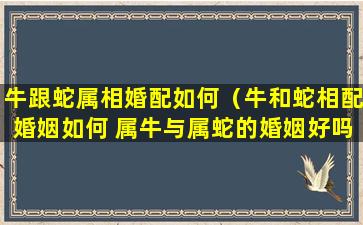 牛跟蛇属相婚配如何（牛和蛇相配婚姻如何 属牛与属蛇的婚姻好吗）